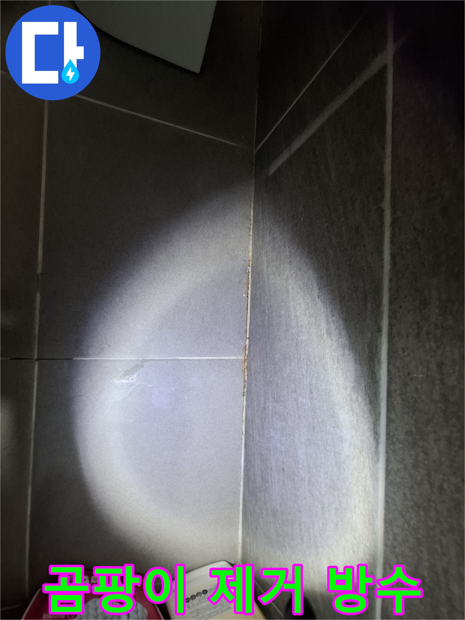 판교 봇들마을 욕실 타일 틈새 누수 - 곰팡이 제거부터 방수 시공까지 한 번에 해결
