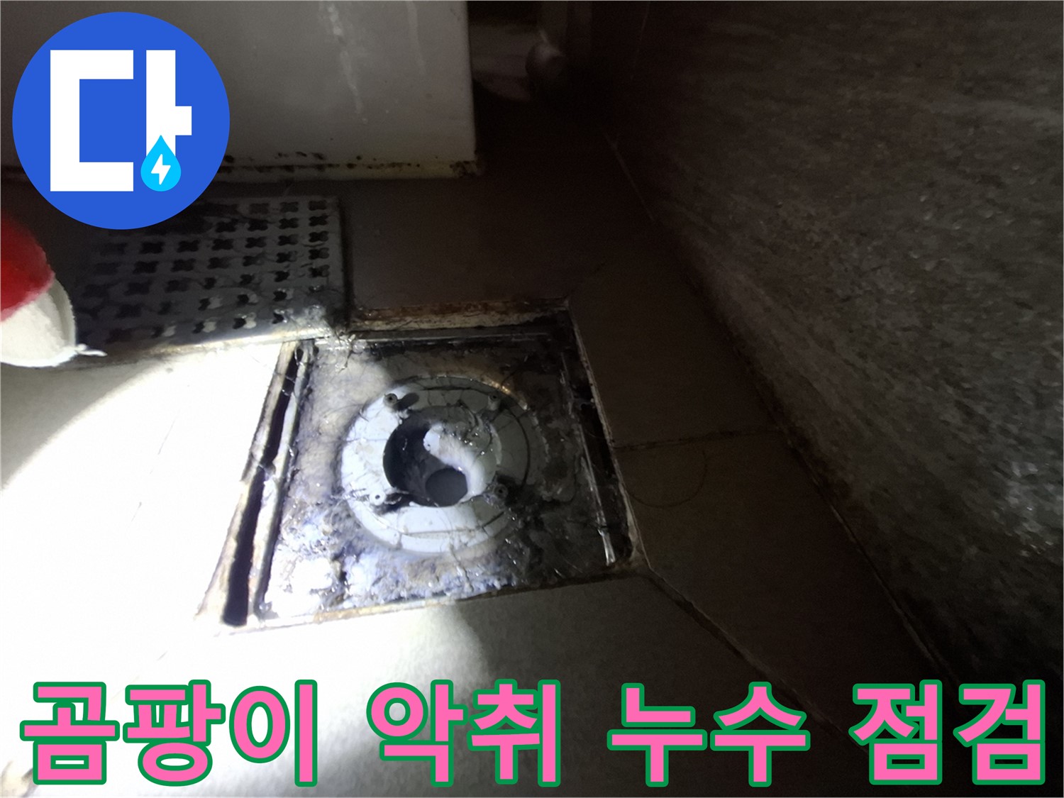 판교 봇들마을 욕실 하수구 주변 곰팡이 - 꼼꼼하게 점검하고 누수 해결