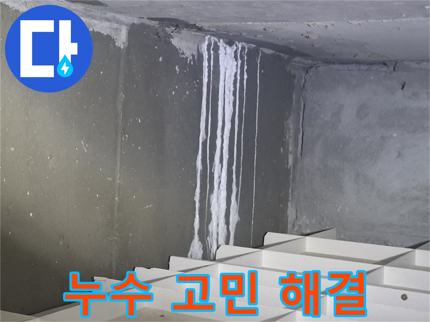 판교 봇들마을2단지 누수 해결 - 완벽 시공으로 누수 고민 해결