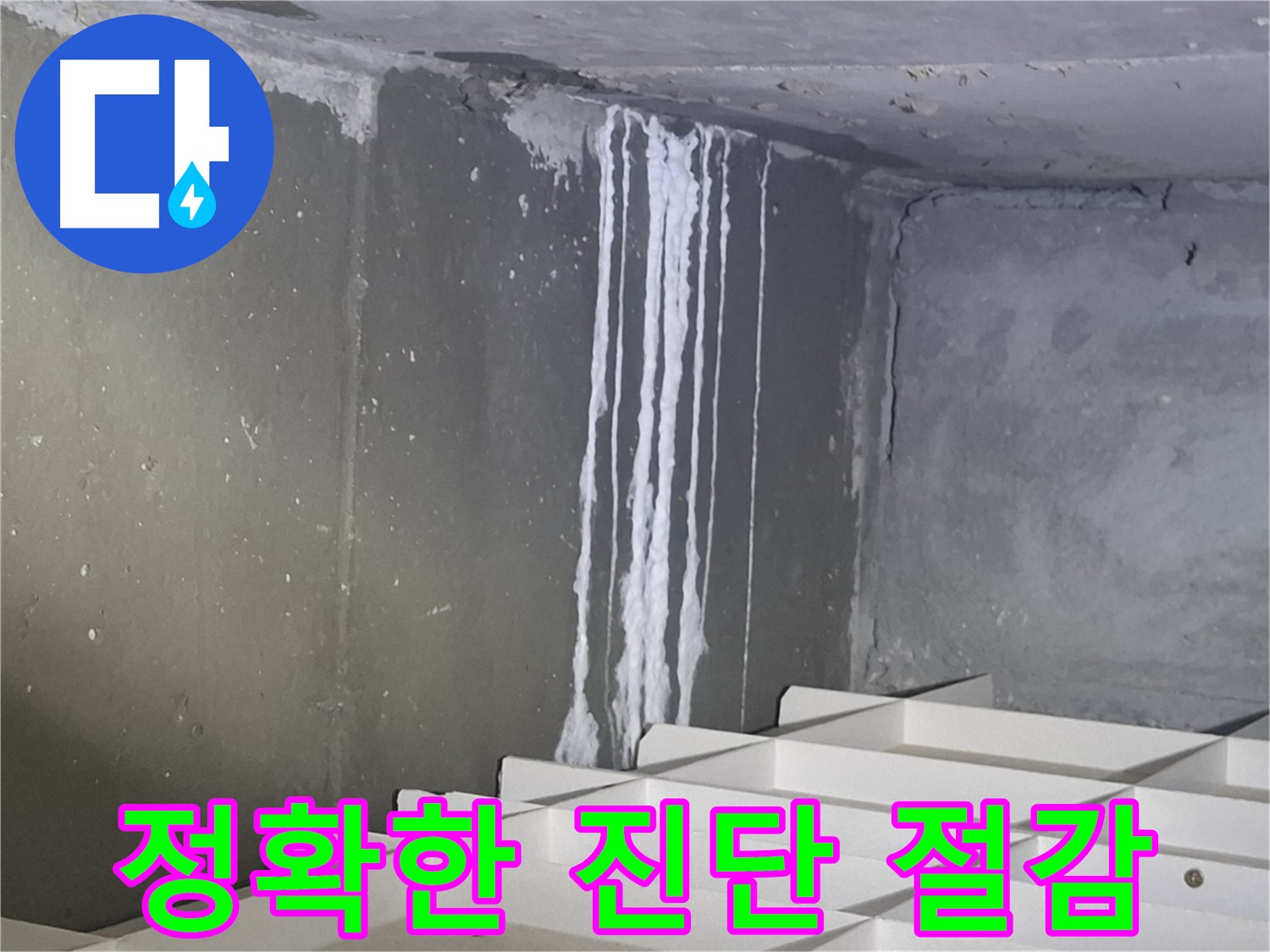 판교 봇들마을2단지 아파트 누수 - 정확한 진단으로 불필요한 비용 절감