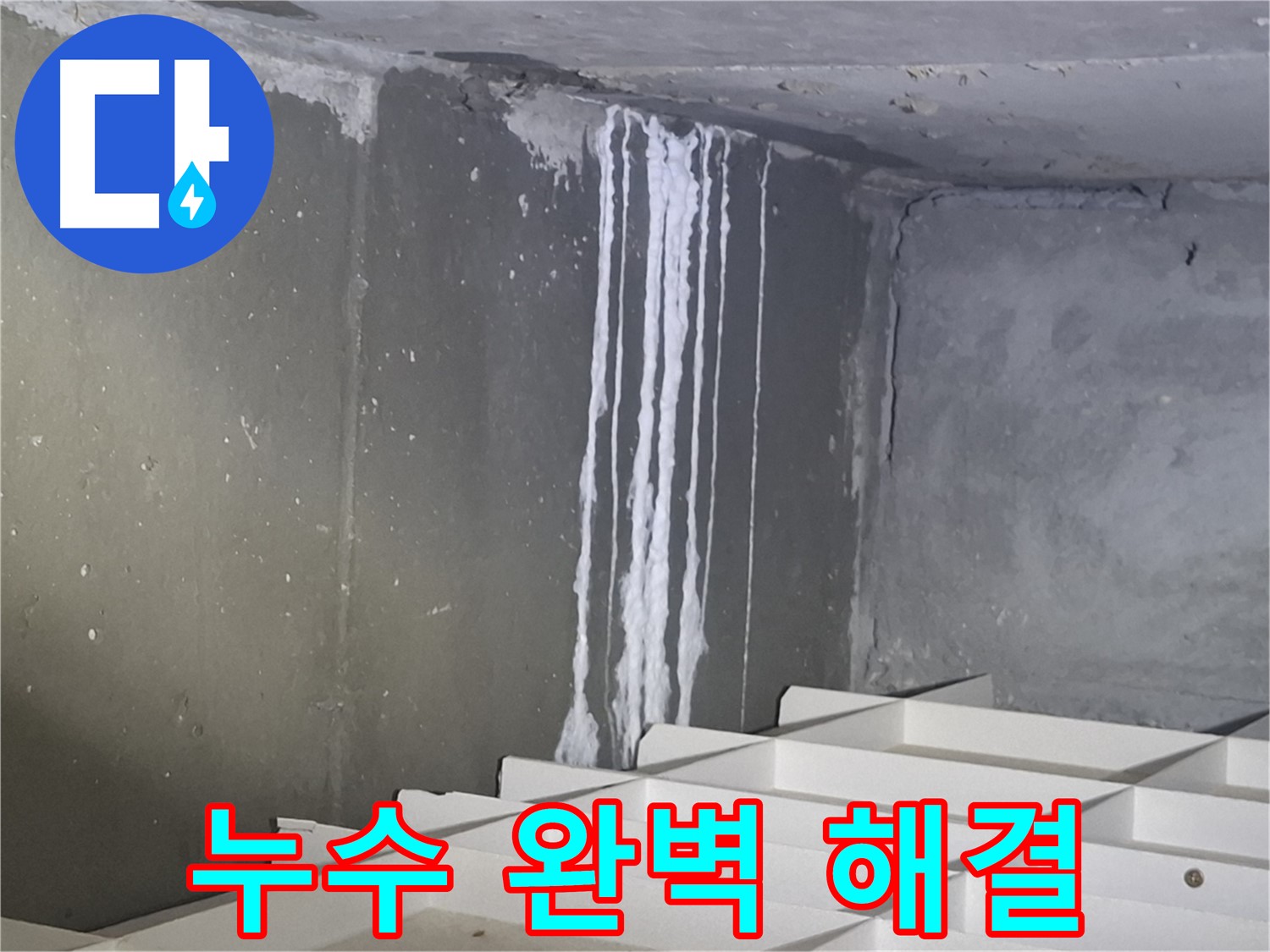 판교 봇들마을2단지 아파트 주차장 누수 - 완벽 해결 약속