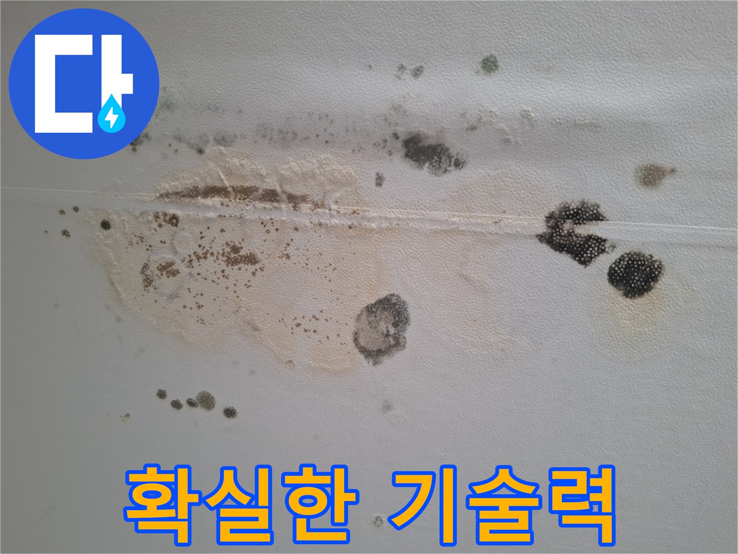 판교 삼평동 누수 - 곰팡이 핀 천장, 확실한 기술력으로 곰팡이 문제 해결