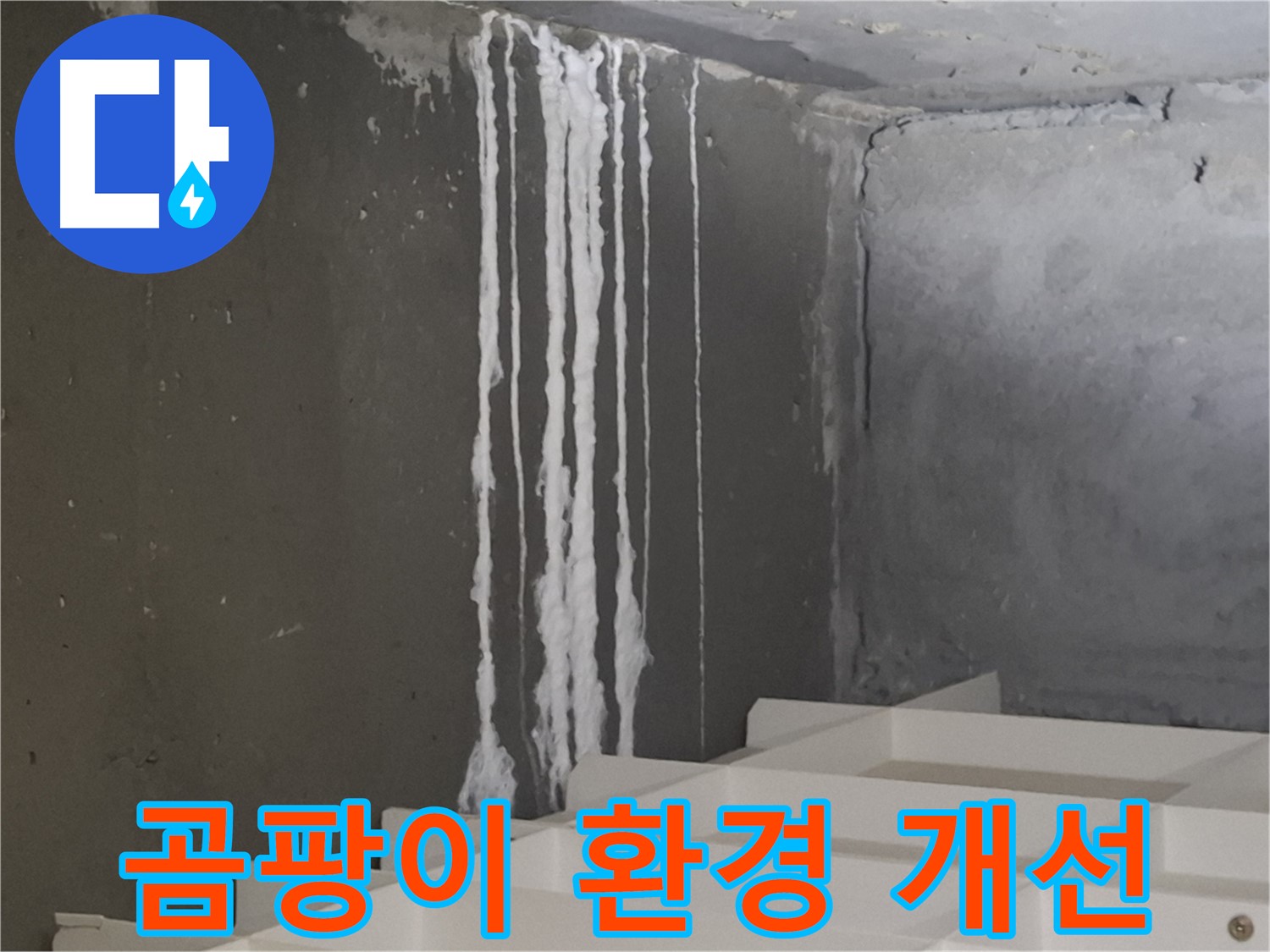 판교 삼평동 봇들마을 아파트 - 계단 '하얀 곰팡이' 누수, 쾌적한 환경을 되찾기 위한 해결 과정을 담은 이미지.