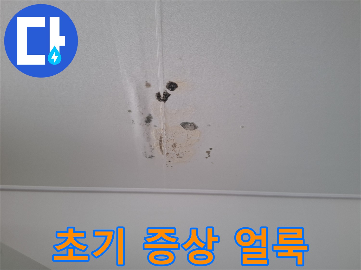 판교 삼평동 봇들마을2단지 아파트 - 누수 초기 증상인 천장 얼룩 - 주의 깊게 살펴보세요.