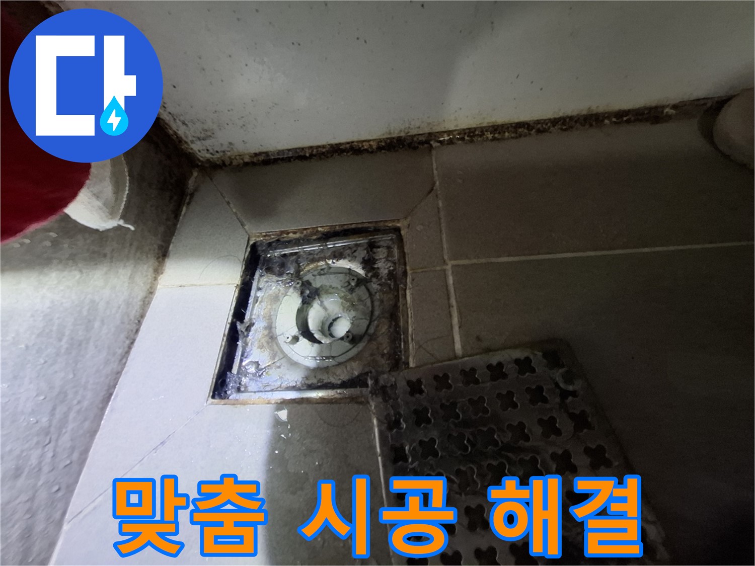 판교 삼평동 봇들마을2단지 욕실 - 꼼꼼한 점검, 맞춤 시공으로 완벽 해결