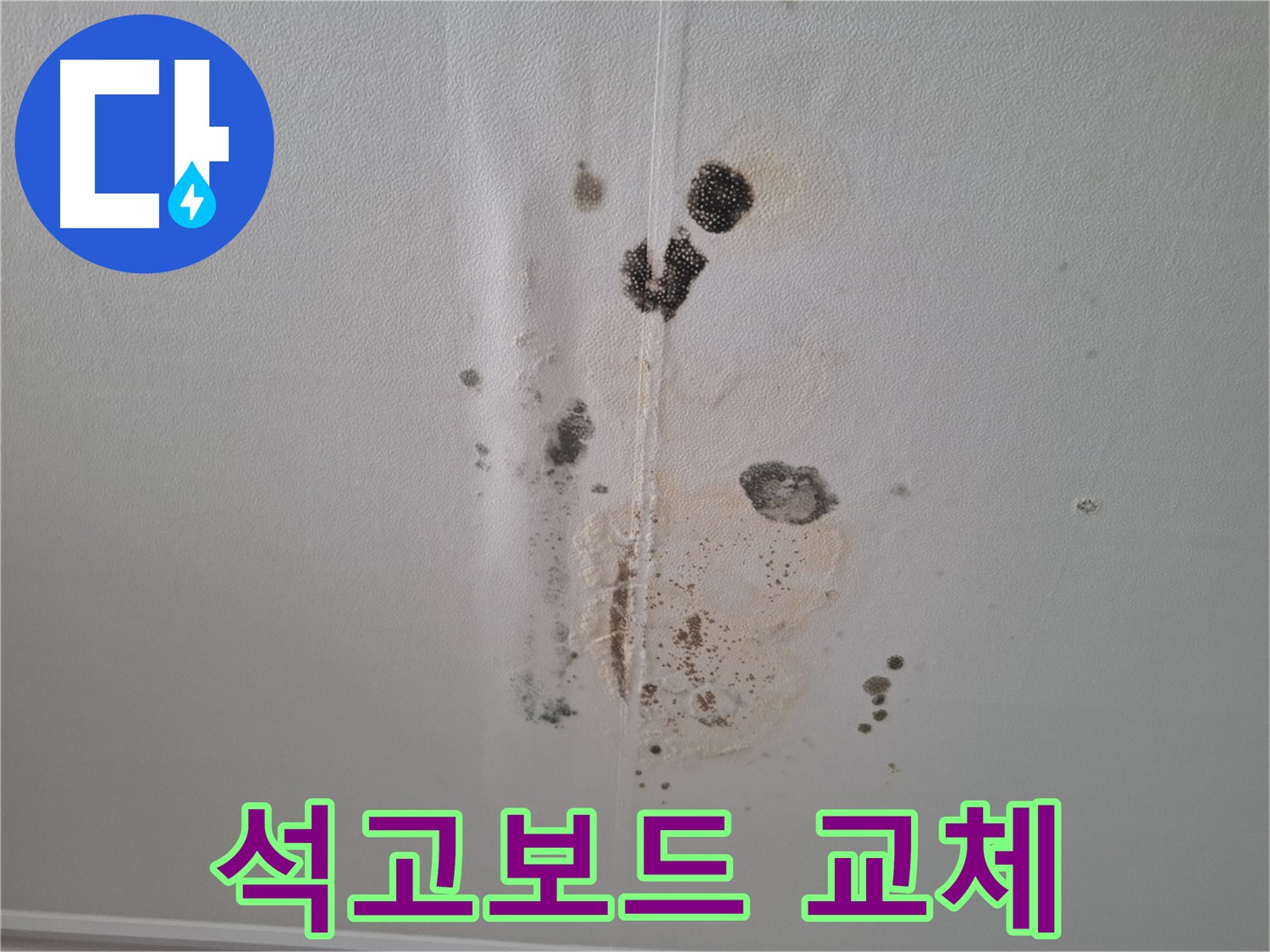 판교 아파트 누수 - 곰팡이로 인한 석고보드 교체 필요