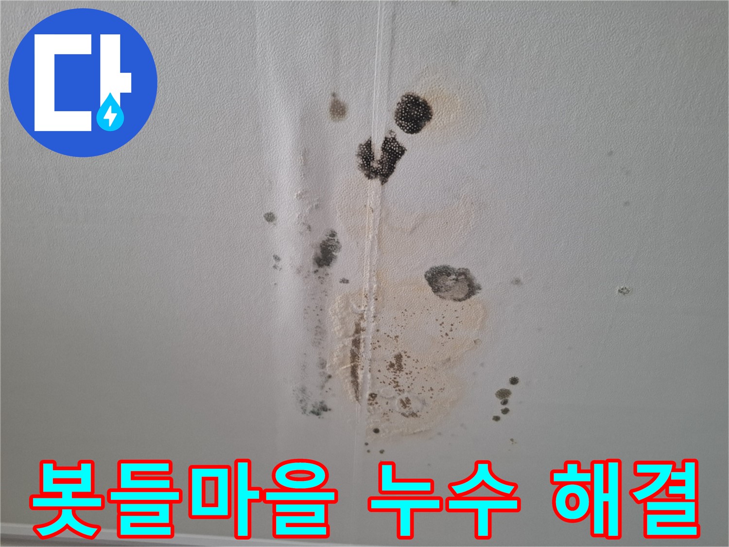 판교 아파트 누수 - 봇들마을 천장 누수 - 빠른 해결책 제시