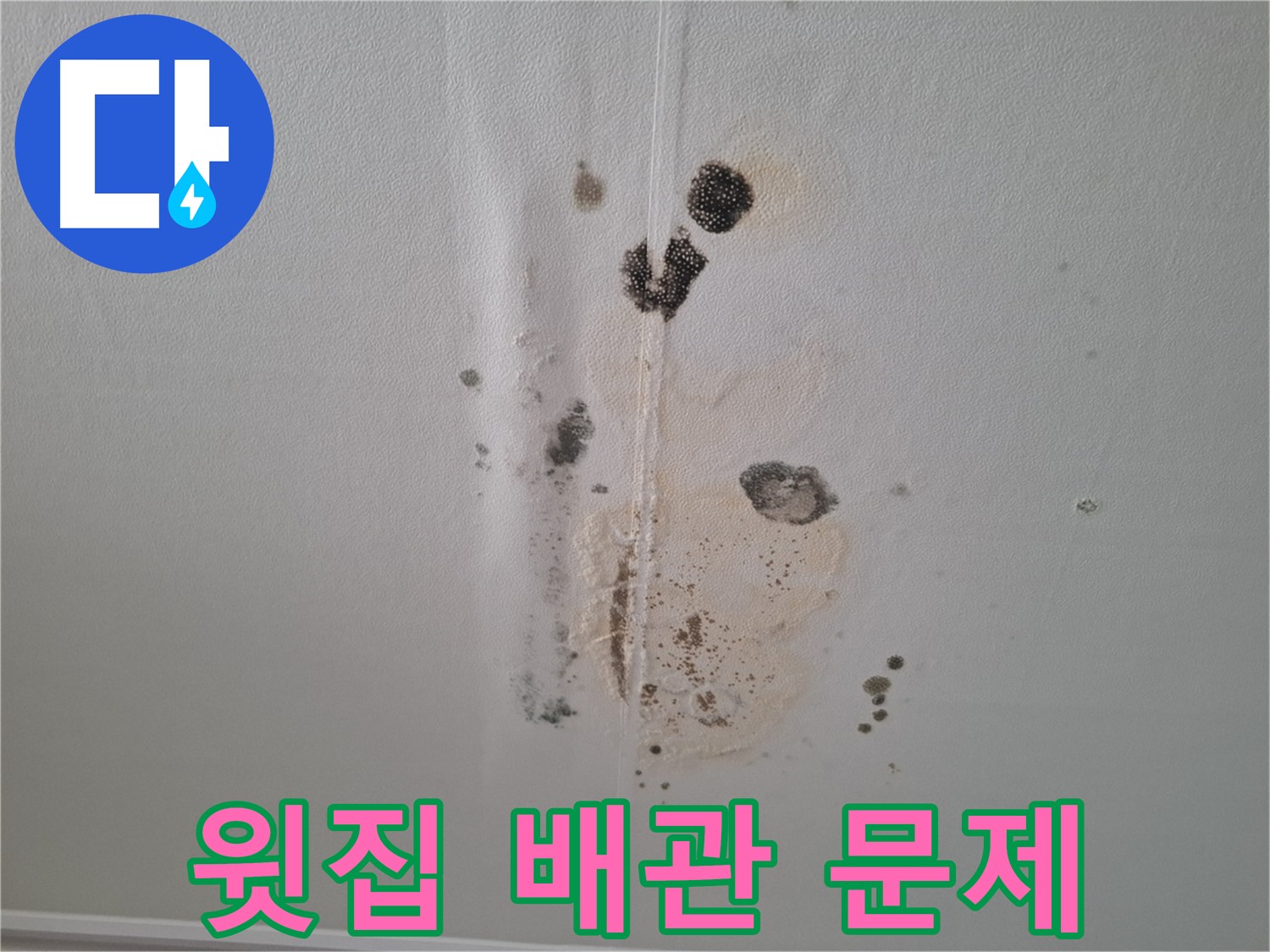 판교 아파트 누수 - 윗집 배관 문제로 인한 누수 가능성 점검