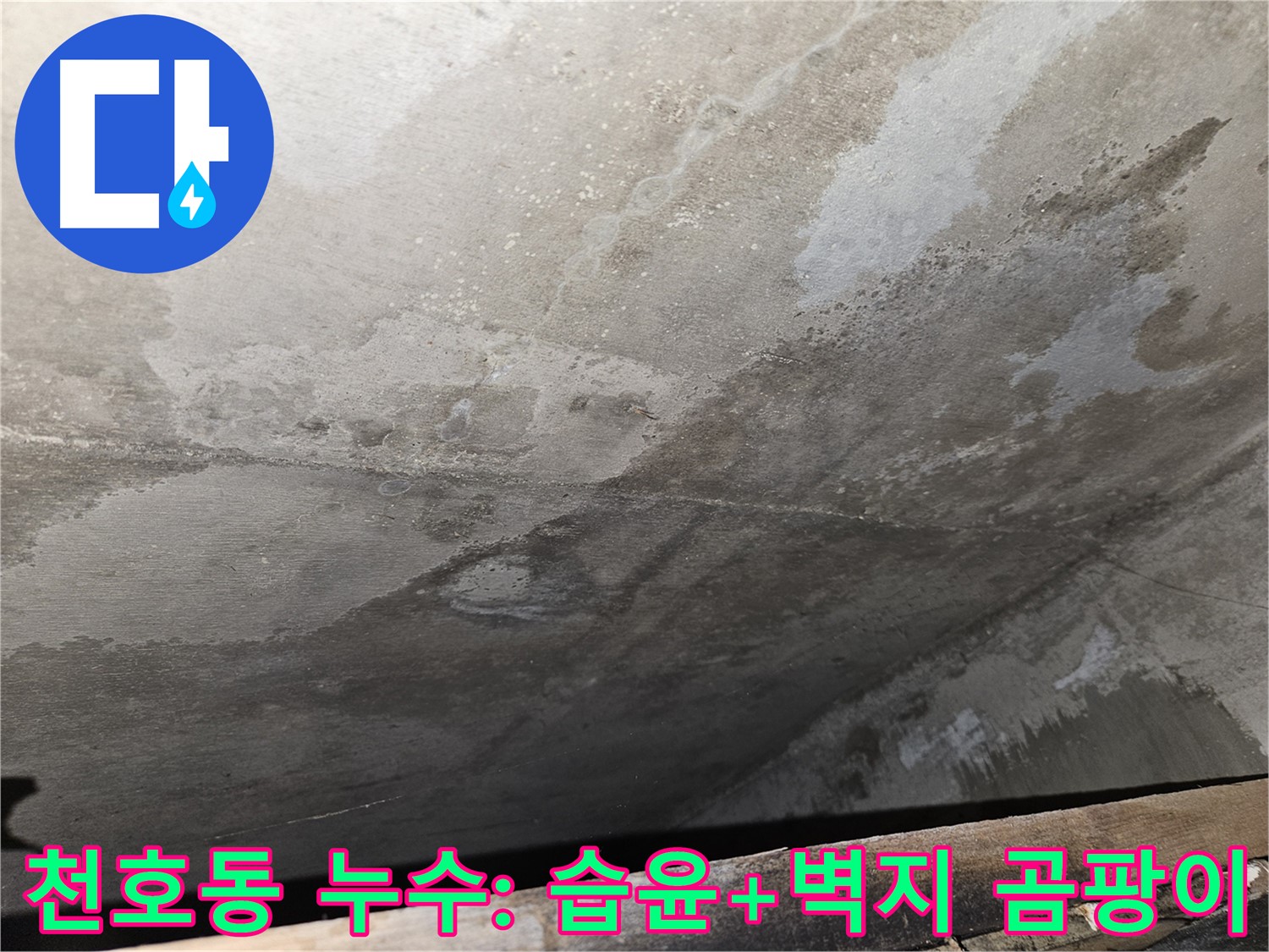 강동구 천호동 아파트 누수 - 습윤과 벽지 곰팡이 심한 오염