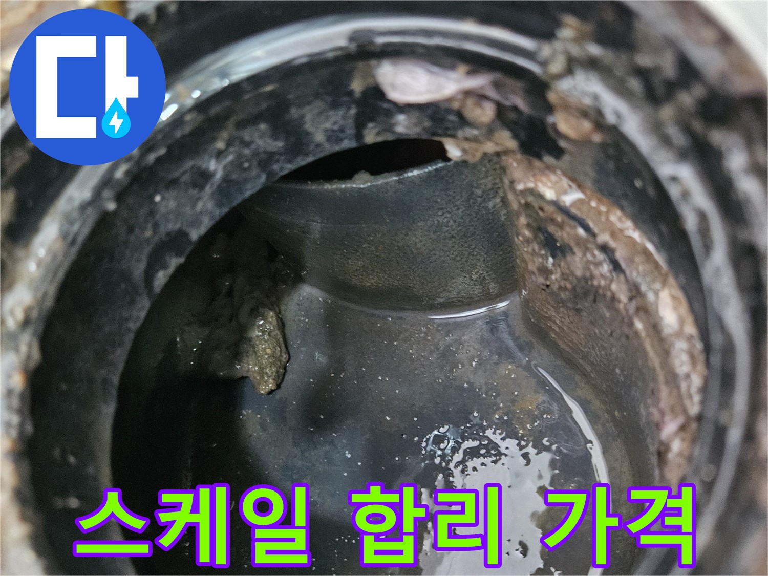 배관 문제 - 스케일 제거, 합리적인 가격