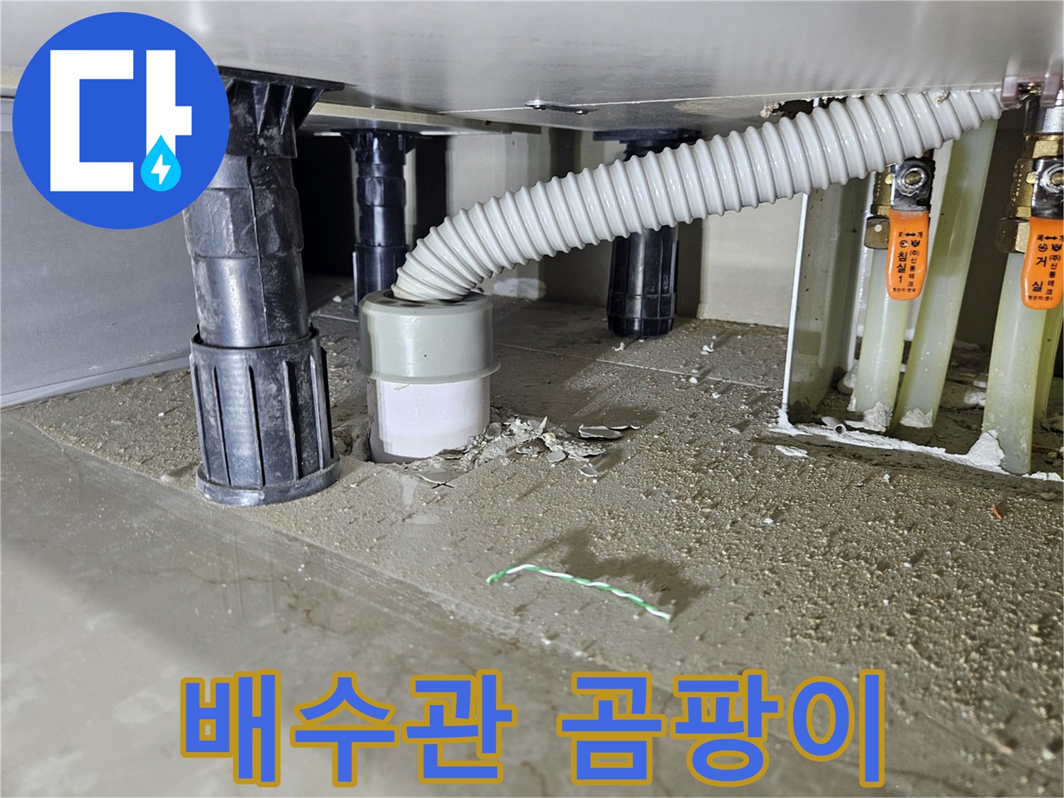싱크대 누수 - 배수관 연결 부위 주변 곰팡이 확인