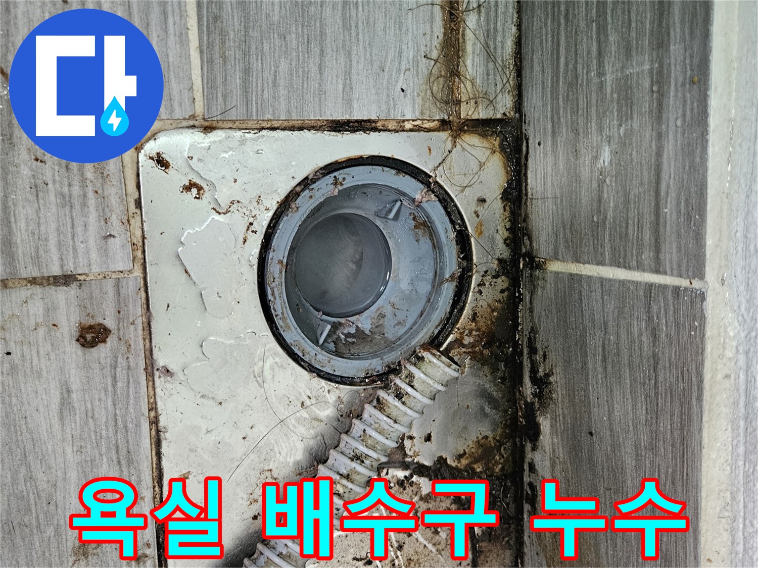 욕실 배수구 주변 누수 - 노후된 배수구 주변의 방수층 손상으로 인한 누수 발생