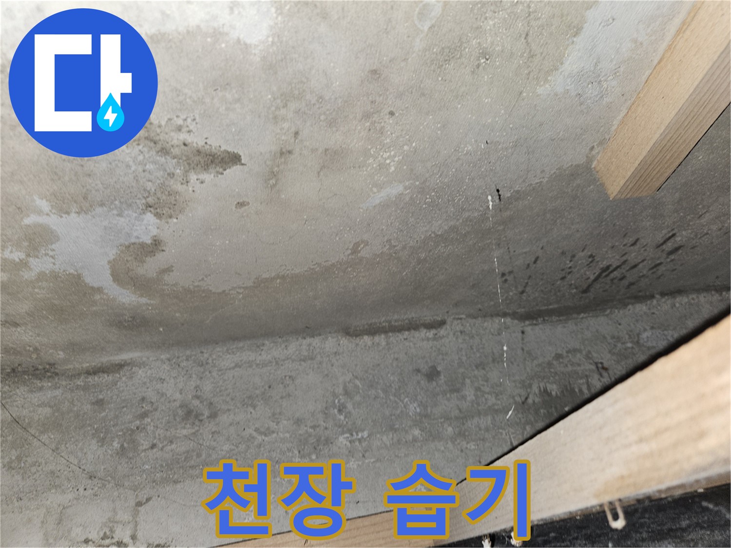 천장 습기 - 콘크리트 천장에 습기가 차 있는 모습 - 누수 초기 증상