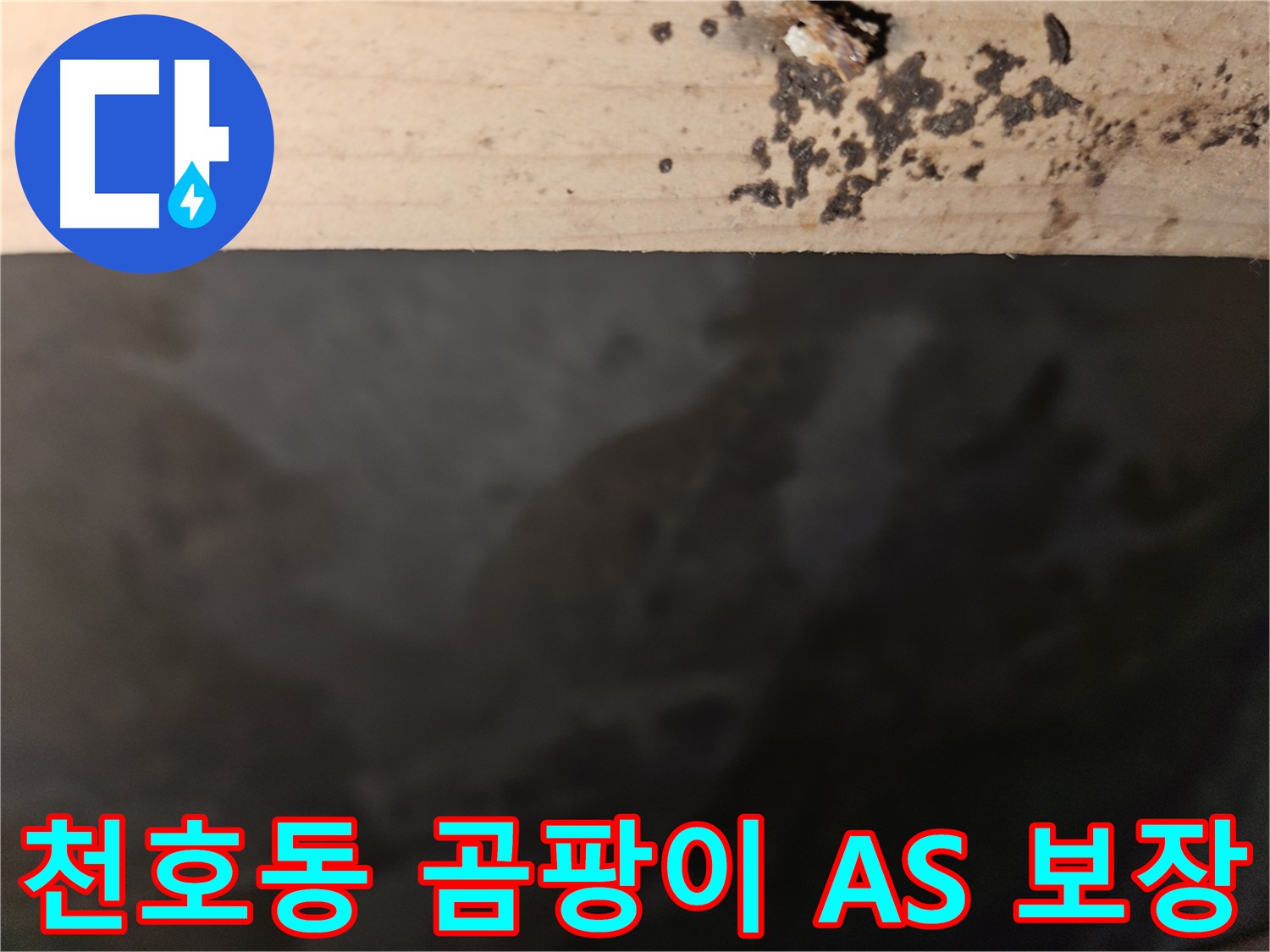천호동 아파트 곰팡이 누수 A/S 보장