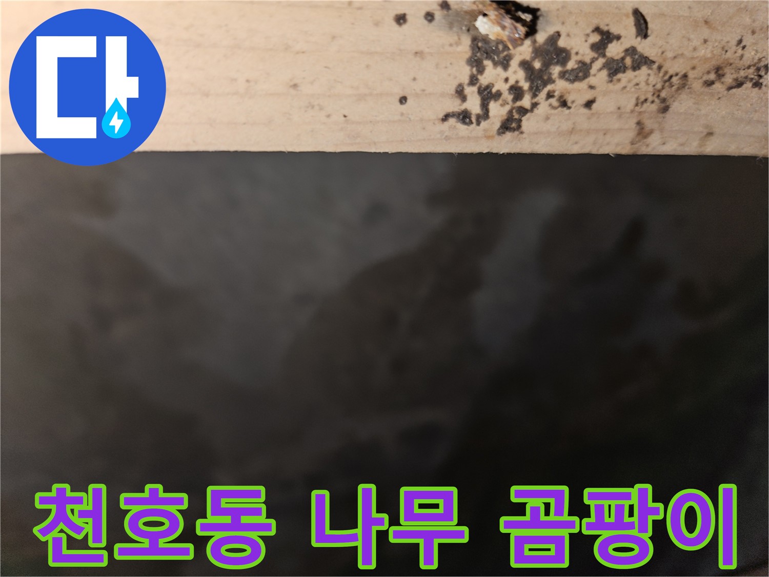 천호동 누수탐지 - 나무 윗부분 곰팡이 원인 확인 - 해결책