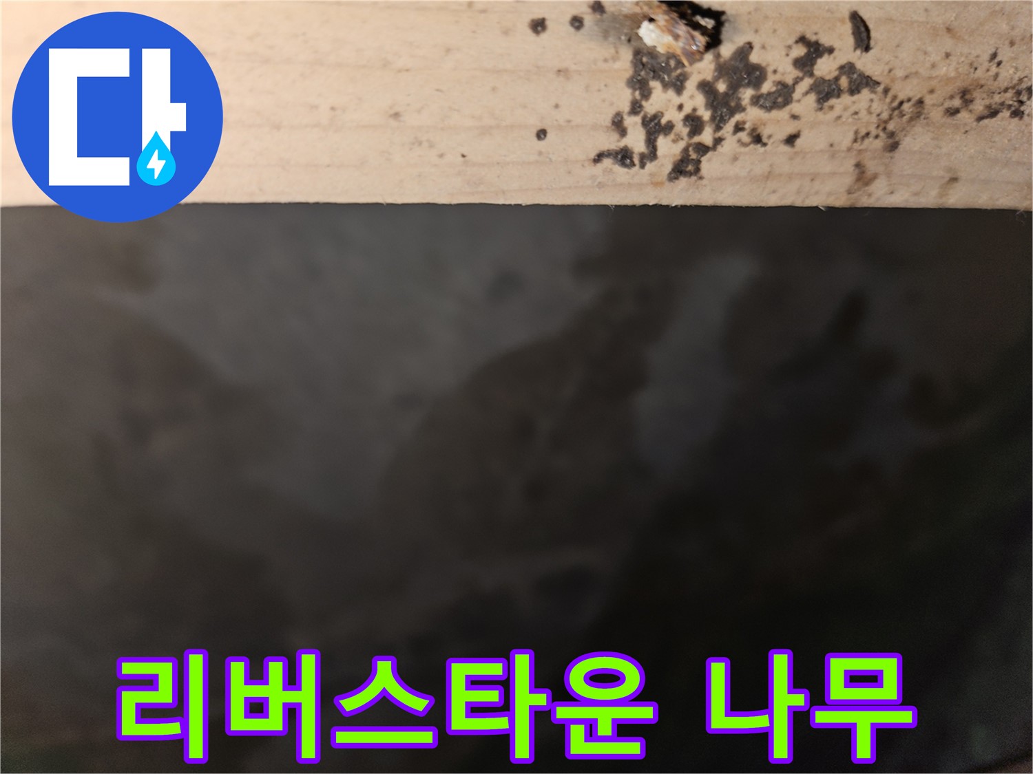 천호동 리버스타운 누수 - 나무 겉면 상태 점검 - 첨단 장비 사용