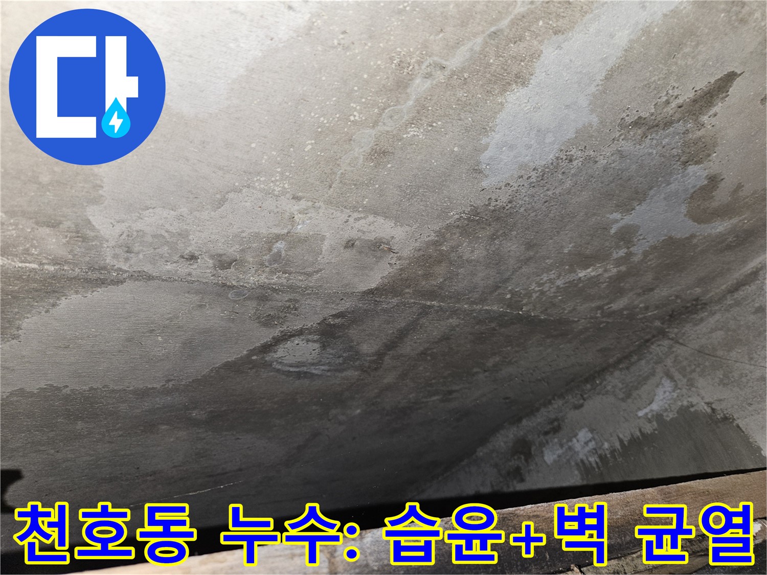 천호동 아파트 누수 - 습윤과 벽 균열은 구조적 문제