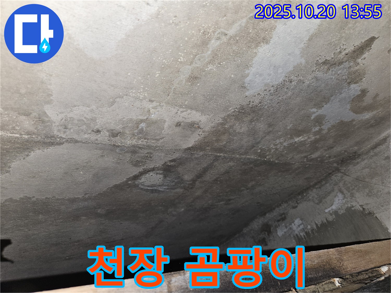 천호동 아파트 콘크리트 천장 누수 - 천장에 곰팡이가 발생한 모습 이미지