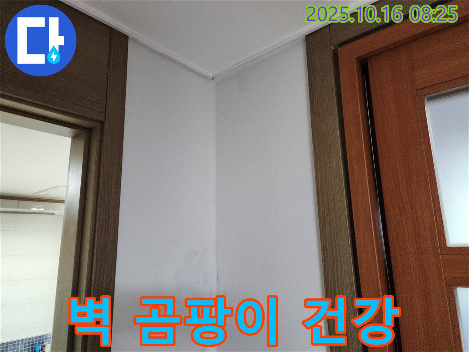 벽 곰팡이 - 건강 적신호 - 누수 점검 필수 - 가족 건강 - 즉시 해결