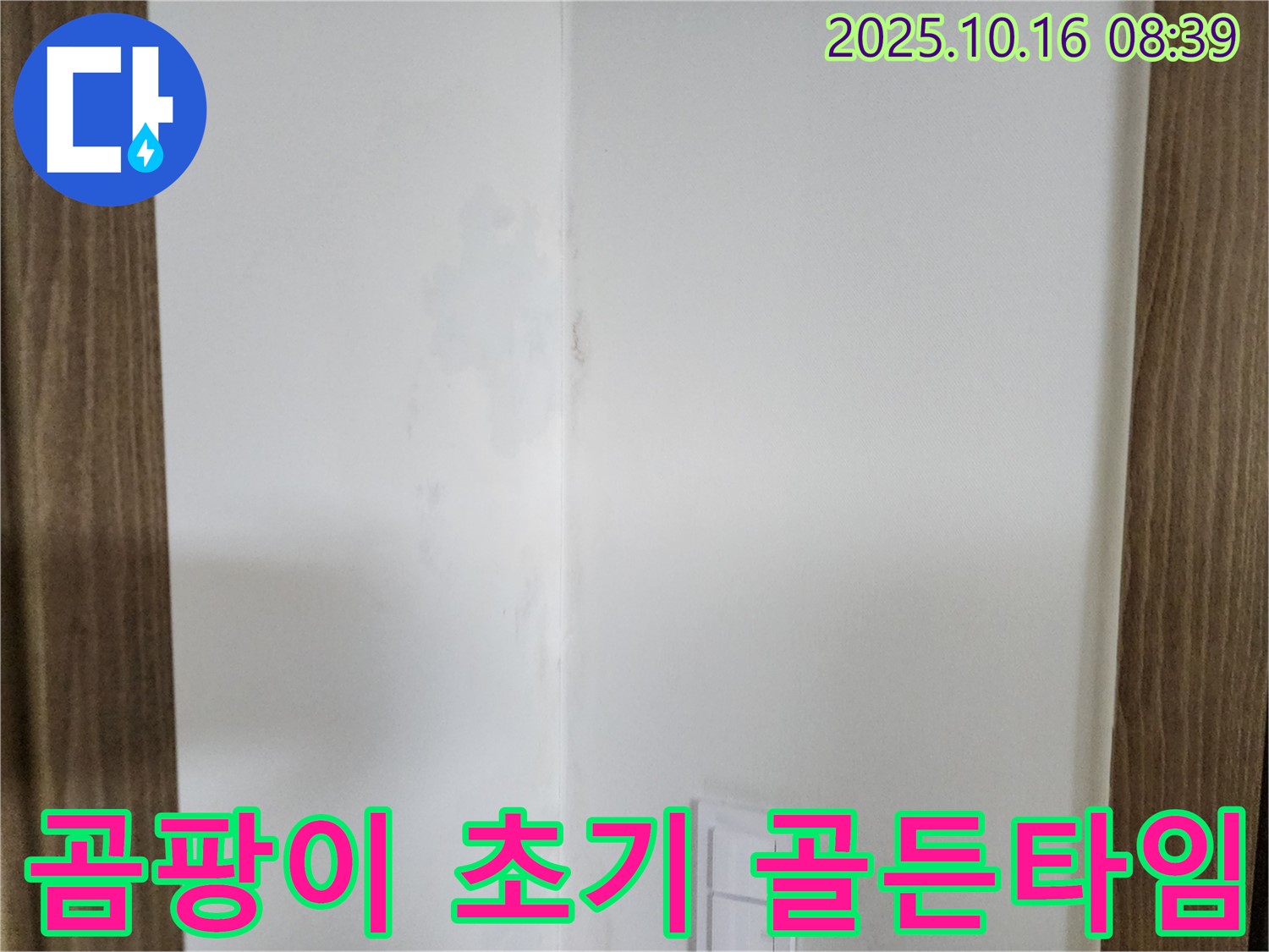 양주시 남면 주택 - 곰팡이 초기 발견 - 골든 타임을 놓치지 마세요