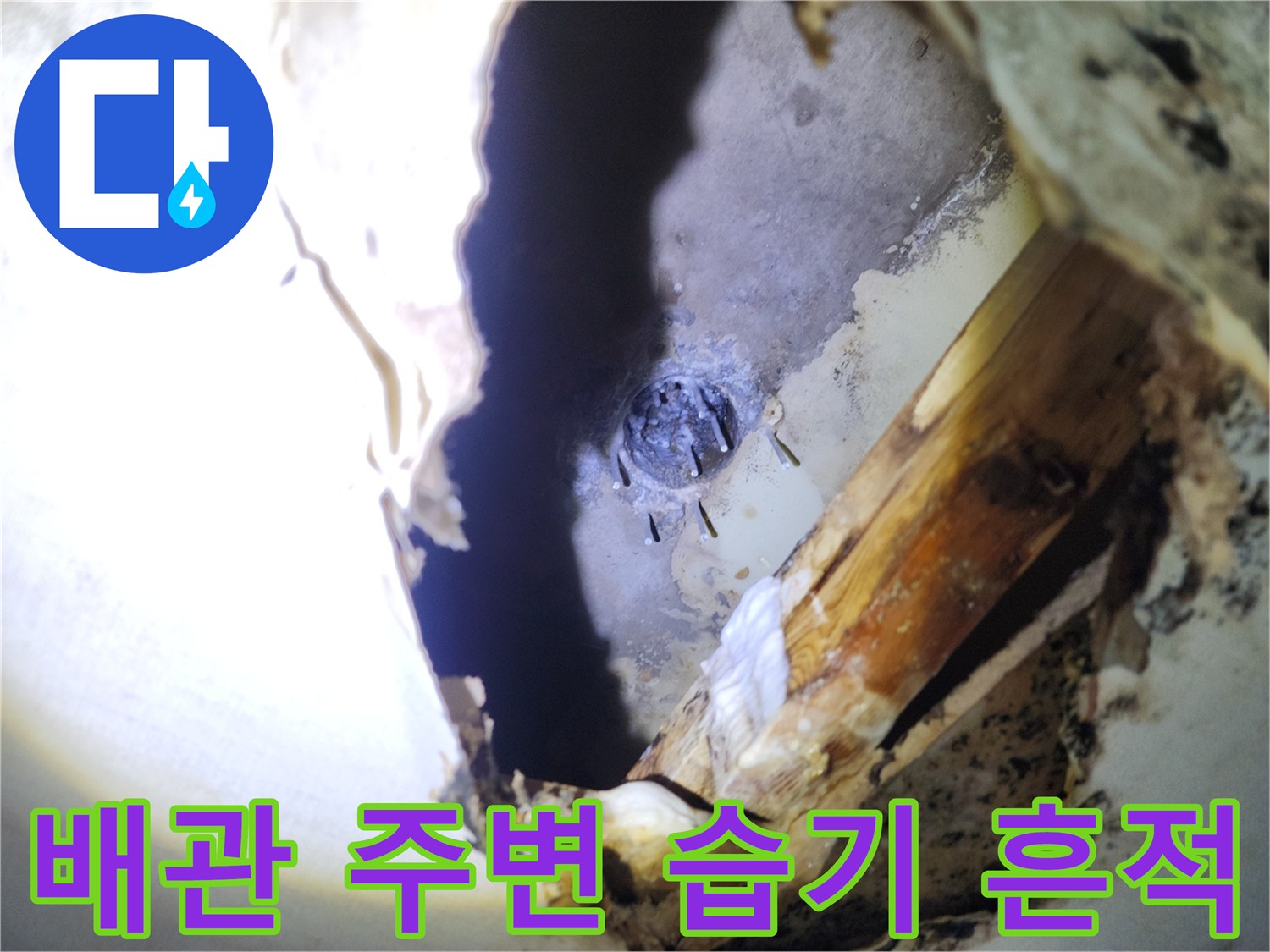 천장 내부 절개 부위에서 발견된 배관 연결부의 습윤 상태