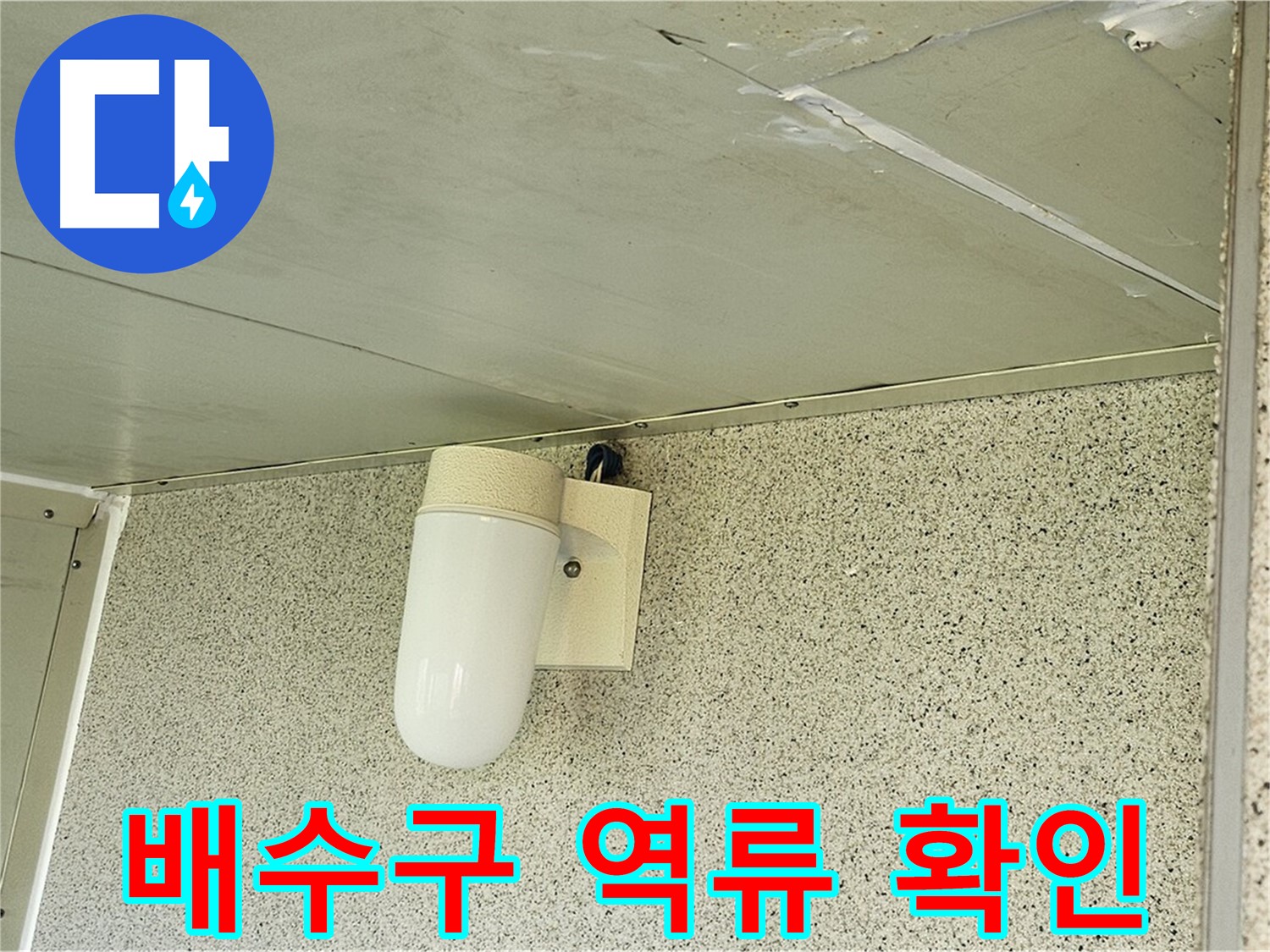 세탁실 배수구 역류 - 세탁실 배수구에서 물이 역류하는 모습입니다.