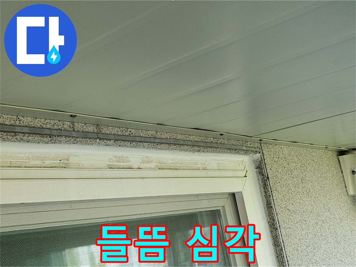 신월동 빗물 누수 현장 - 양천구 누수탐지 전문가가 창틀 상부 백시멘트 들뜸 상태를 확인하는 모습입니다.