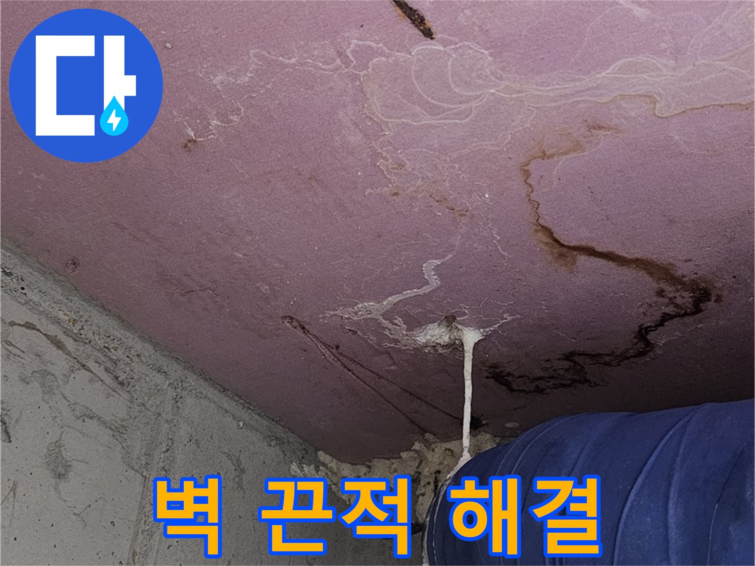 신월동 양천구 누수 - 벽 끈적임 - 완벽 해결