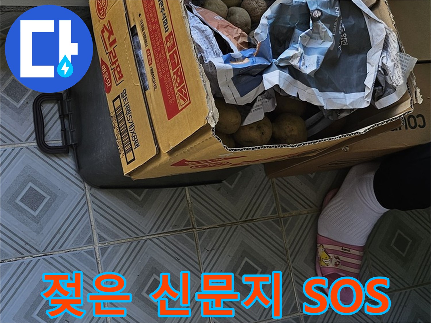 신월동 엘리시안 누수 현장 - 젖은 신문지와 감자 박스가 함께 있다면 긴급 SOS 신호일 수 있습니다 - 즉시 전문가에게 문의하세요.