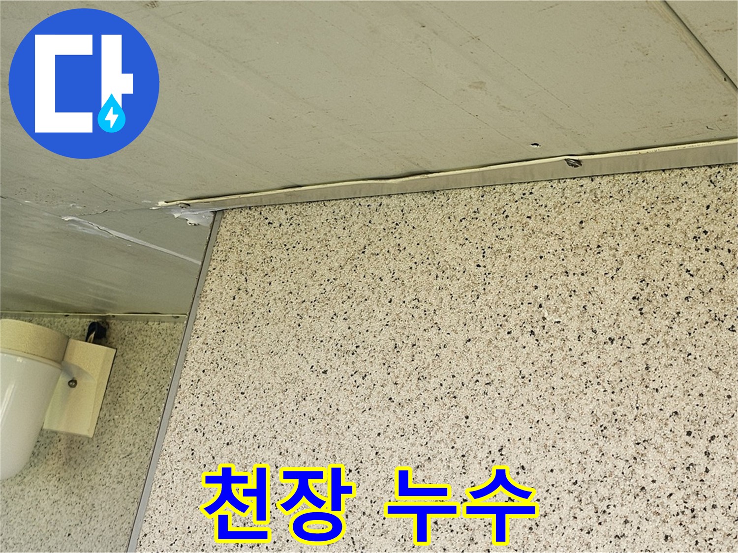 신월동 엘리시안 아파트 누수 해결 - 양천구 누수탐지 전문 업체의 꼼꼼한 시공