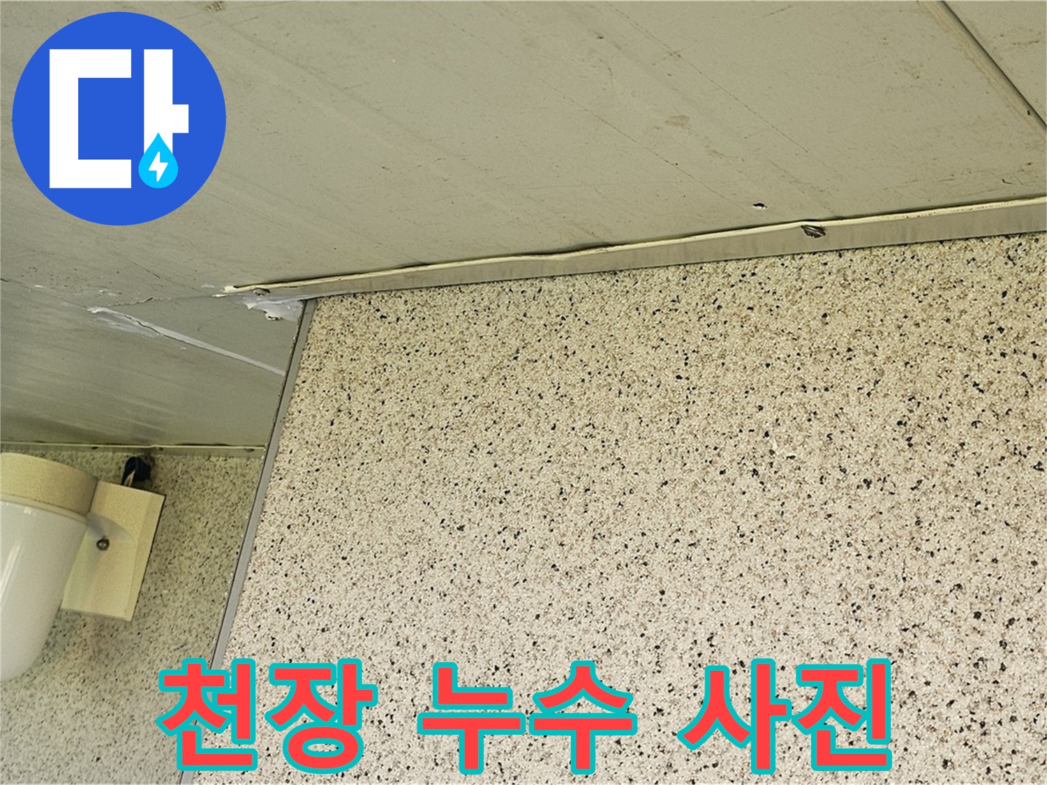 신월동 엘리시안 아파트 천장 누수 해결 과정 - 누수 탐지 전문가의 꼼꼼한 시공