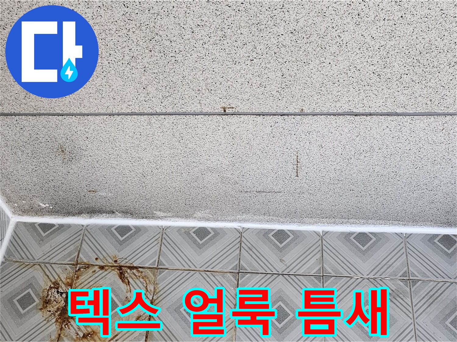 신월동 - 텍스 얼룩 - 타일 틈새 - 누수 확대