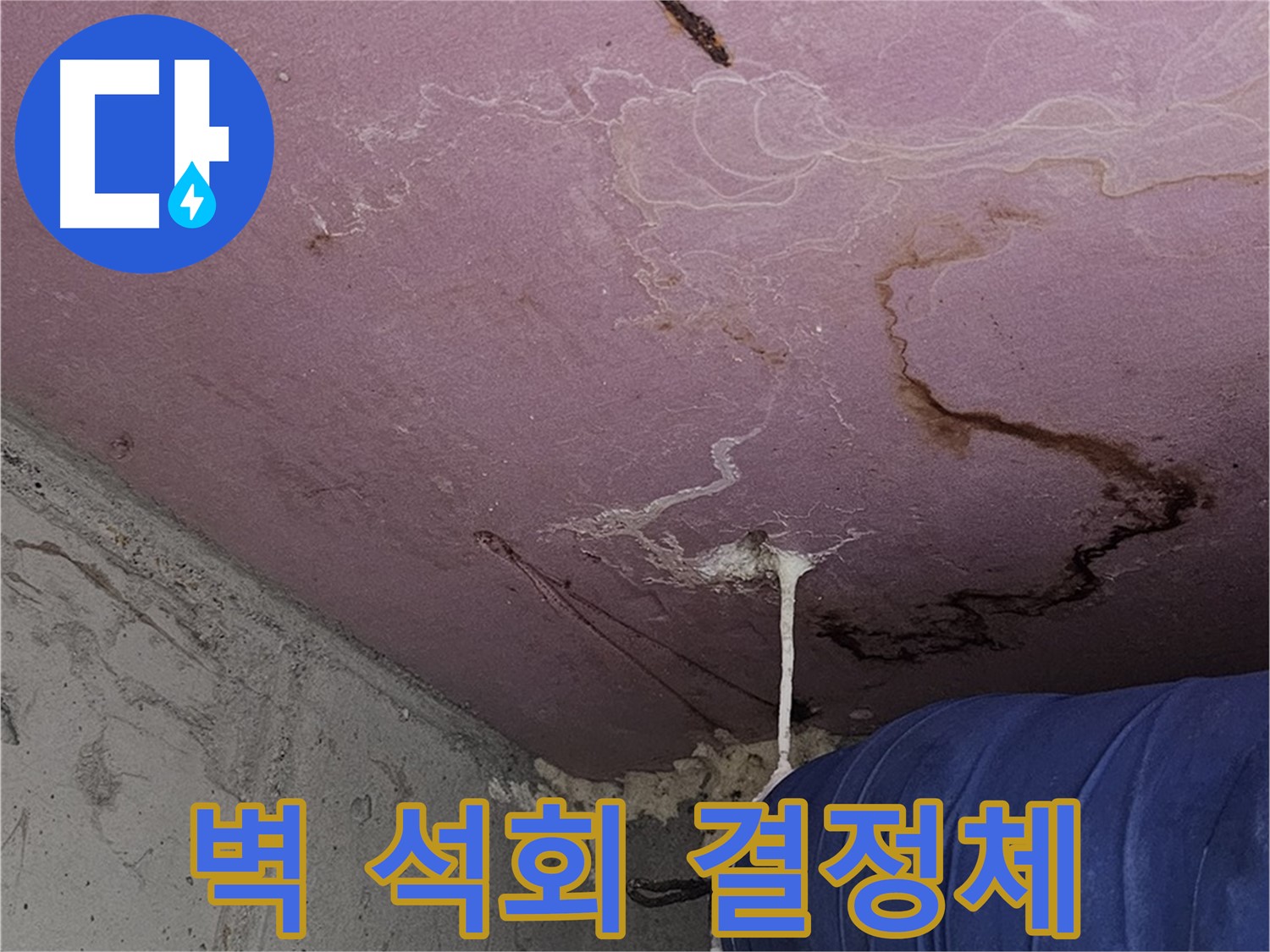 양천구 신월동 누수 - 벽 석회 결정체 - 석회 용출 의심