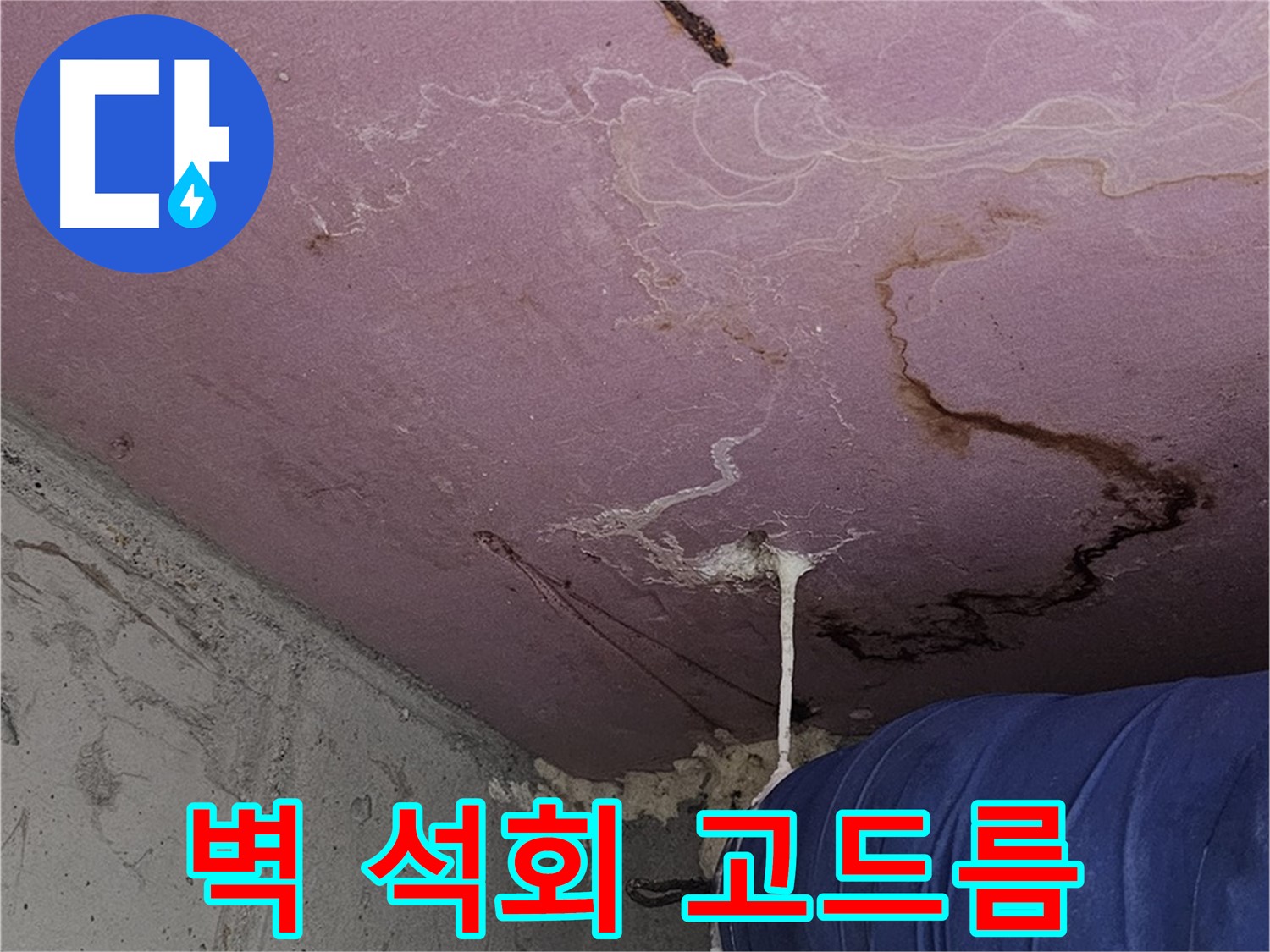 양천구 신월동 누수 - 벽 석회 고드름 - 긴급 점검