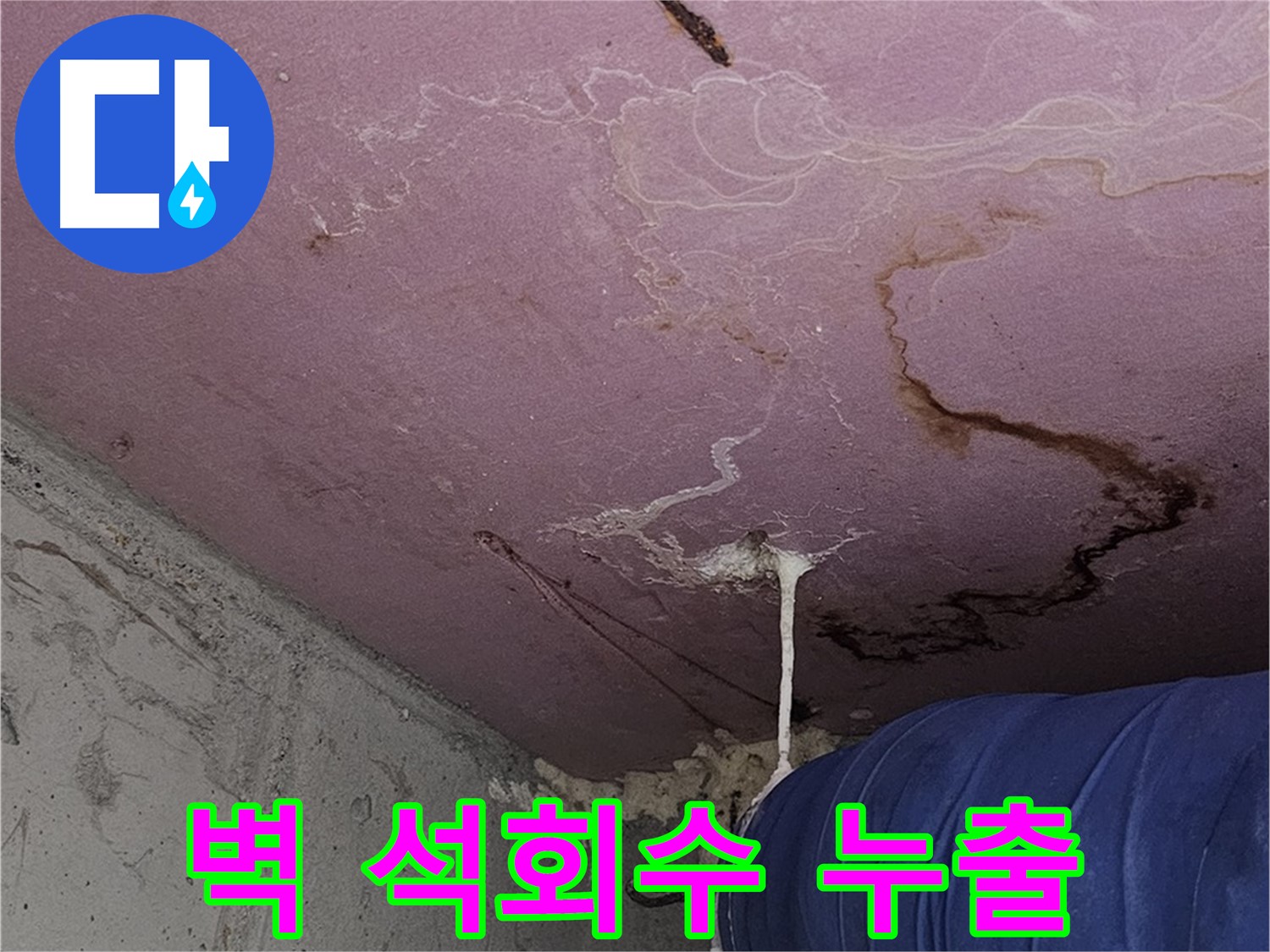 양천구 신월동 누수 - 벽 석회수 누출 - 긴급 누수 진단
