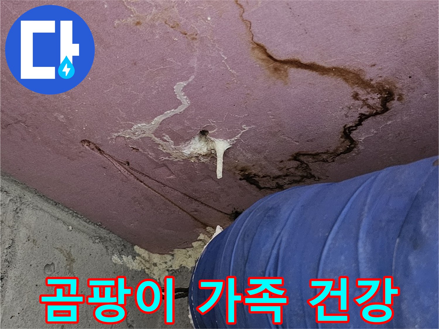 엘리시안 A동 곰팡이 - 가족 건강 지킴