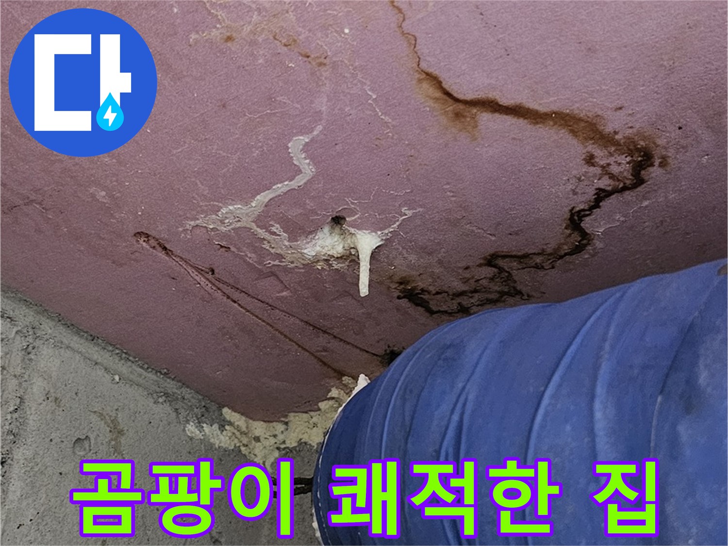 엘리시안 A동 곰팡이 - 쾌적한 우리 집