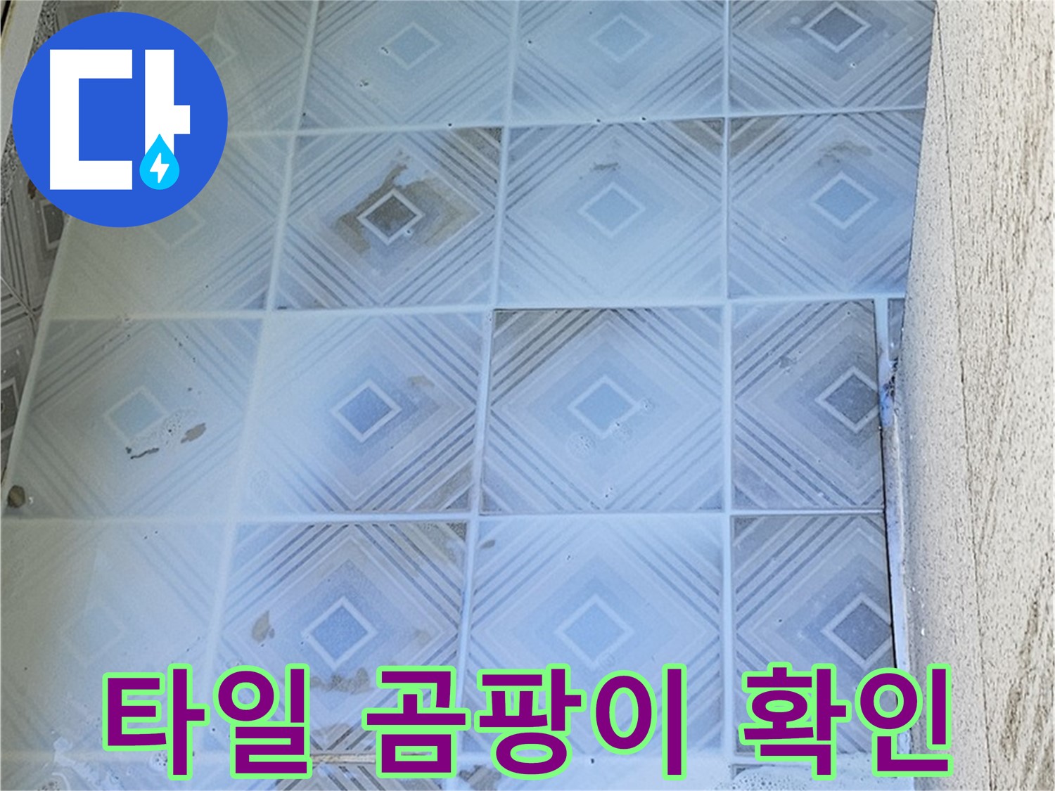 타일 곰팡이 - 누수 증거