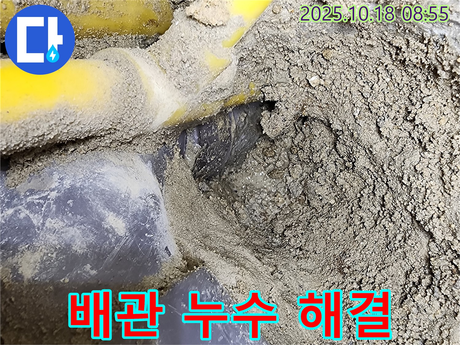 양주시 장흥면 울대리 누수탐지 현장 - 수도 배관의 미세한 누수를 찾아내고 안전하게 보수하는 과정을 보여줍니다.