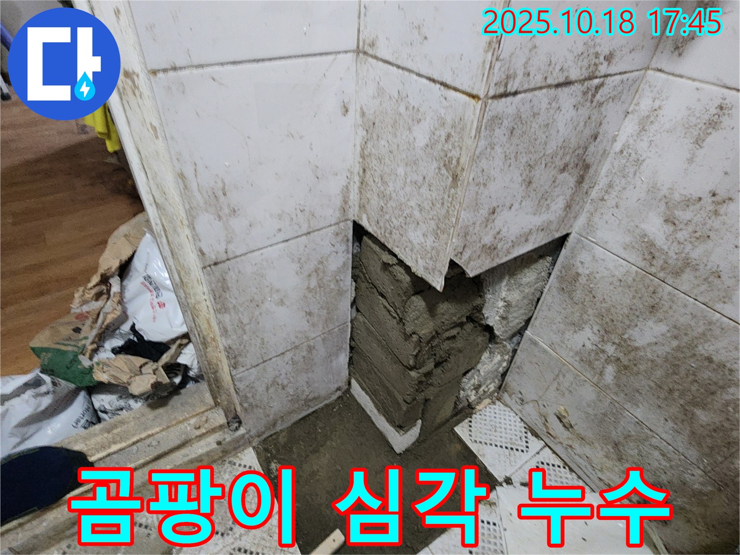 양주시 장흥면 교현리 누수 - 심각한 곰팡이와 타일 손상