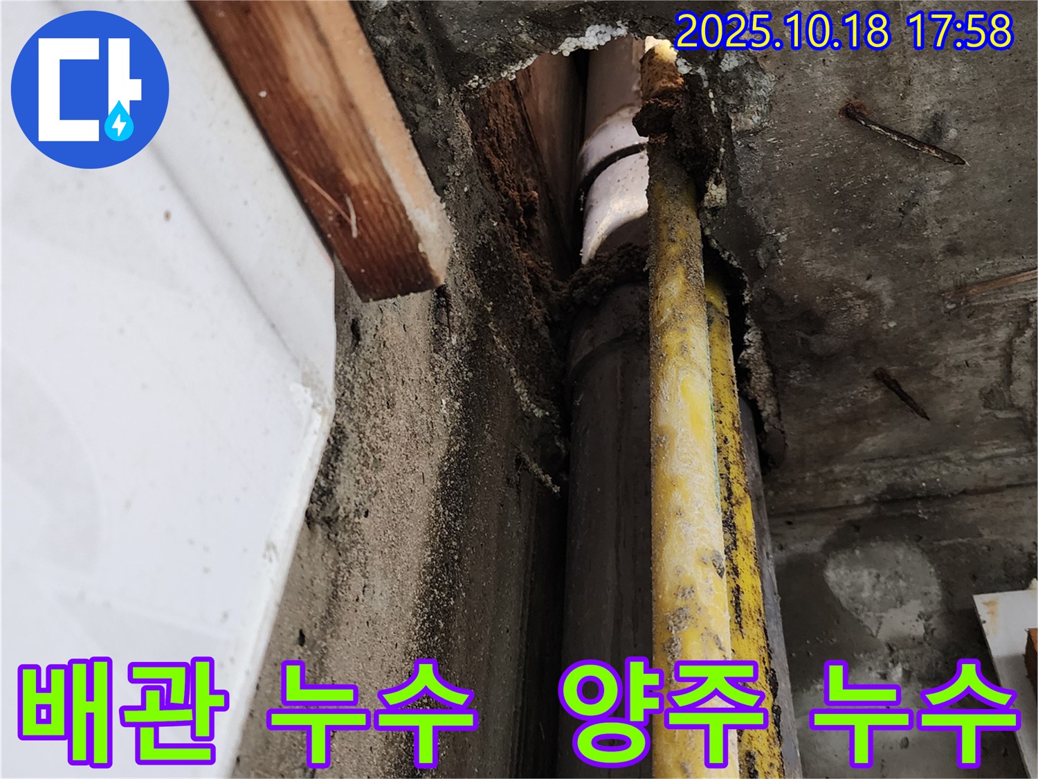양주시 장흥면에서 발생한 배관 누수 - 누수탐지 전문 업체가 정확하게 진단하고 해결합니다.