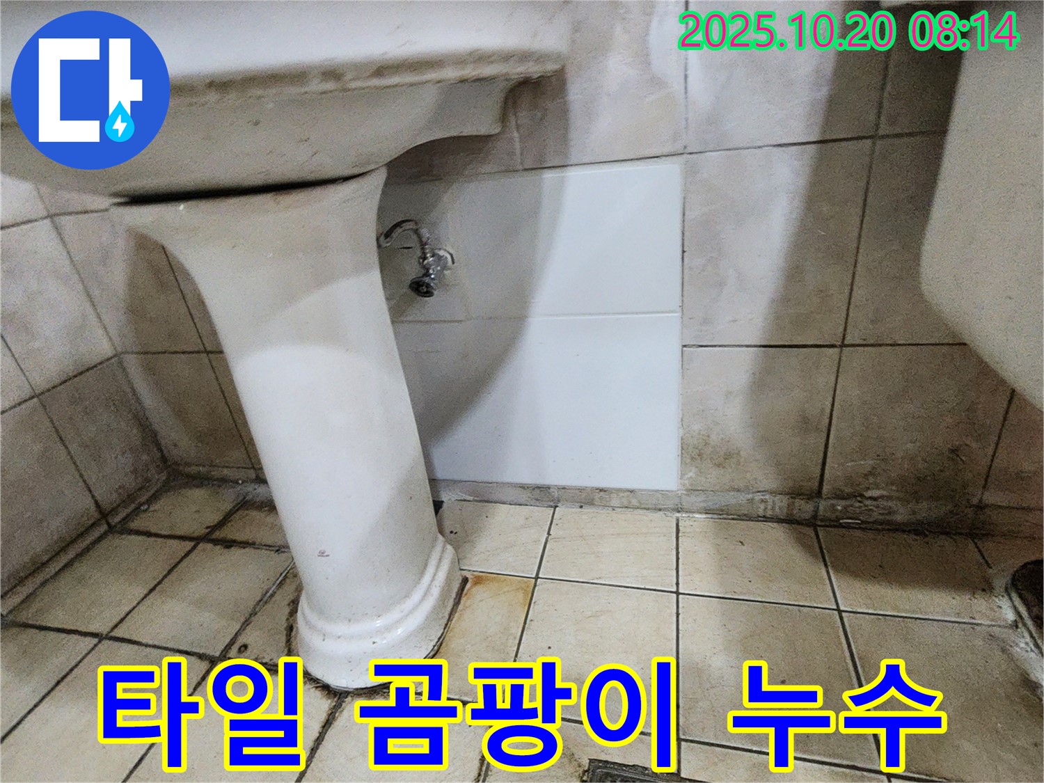 양주시 장흥면 석현리 세면대 벽면 타일 틈새 곰팡이 - 곰팡이 가득한 타일 틈새, 누수의 흔적일 수 있습니다.