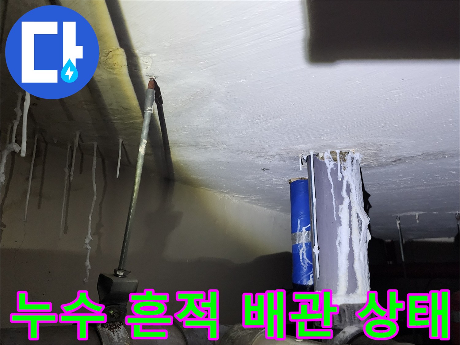 천장에 맺힌 하얀 석회 고드럼과 노출된 하수 배관