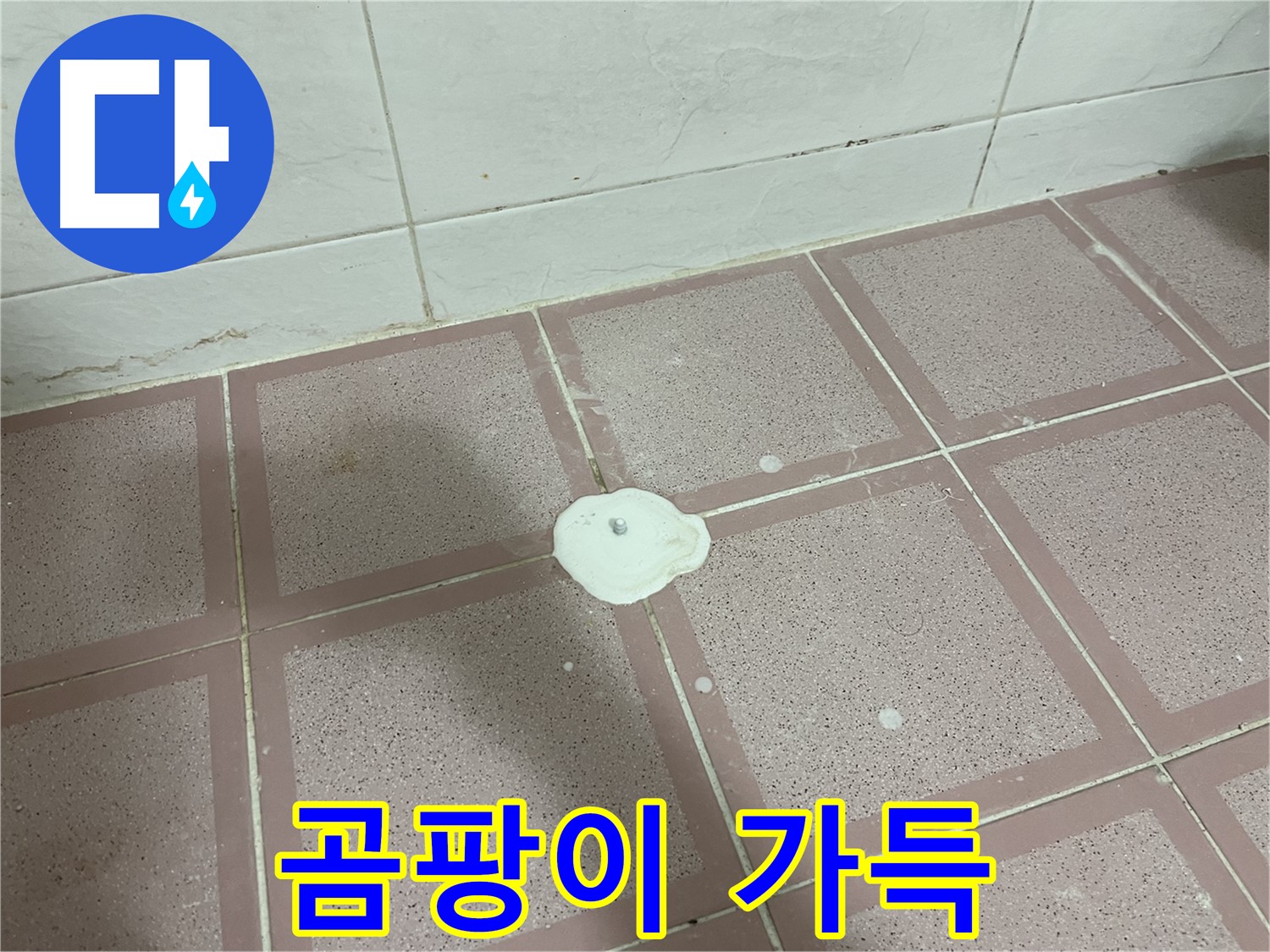금천구 형제맨션빌 누수 - 곰팡이