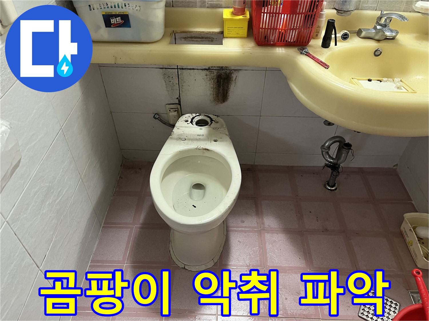 독산동 형제맨션빌 변기 누수 - 곰팡이 악취 파악