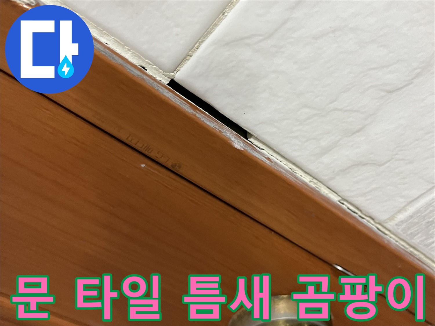 문과 타일 틈새 - 곰팡이 키우기 전에 해결!