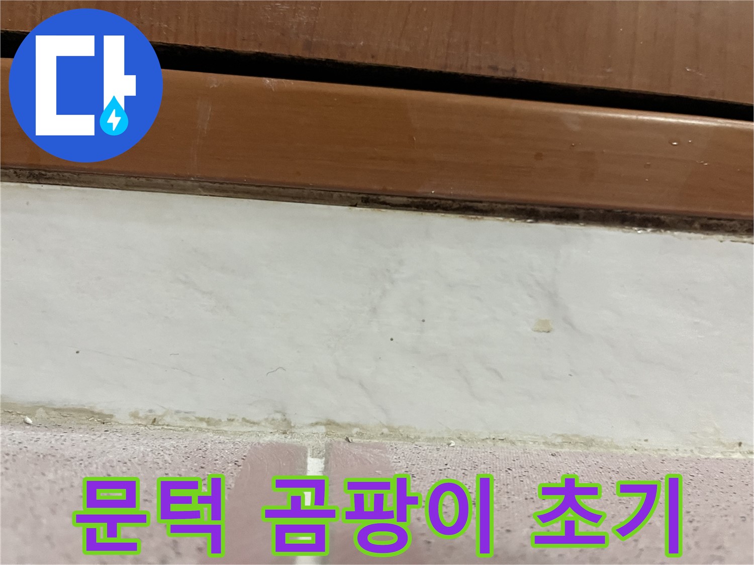형제맨션빌 누수 - 문턱 아래 타일 틈새 곰팡이와 먼지 초기