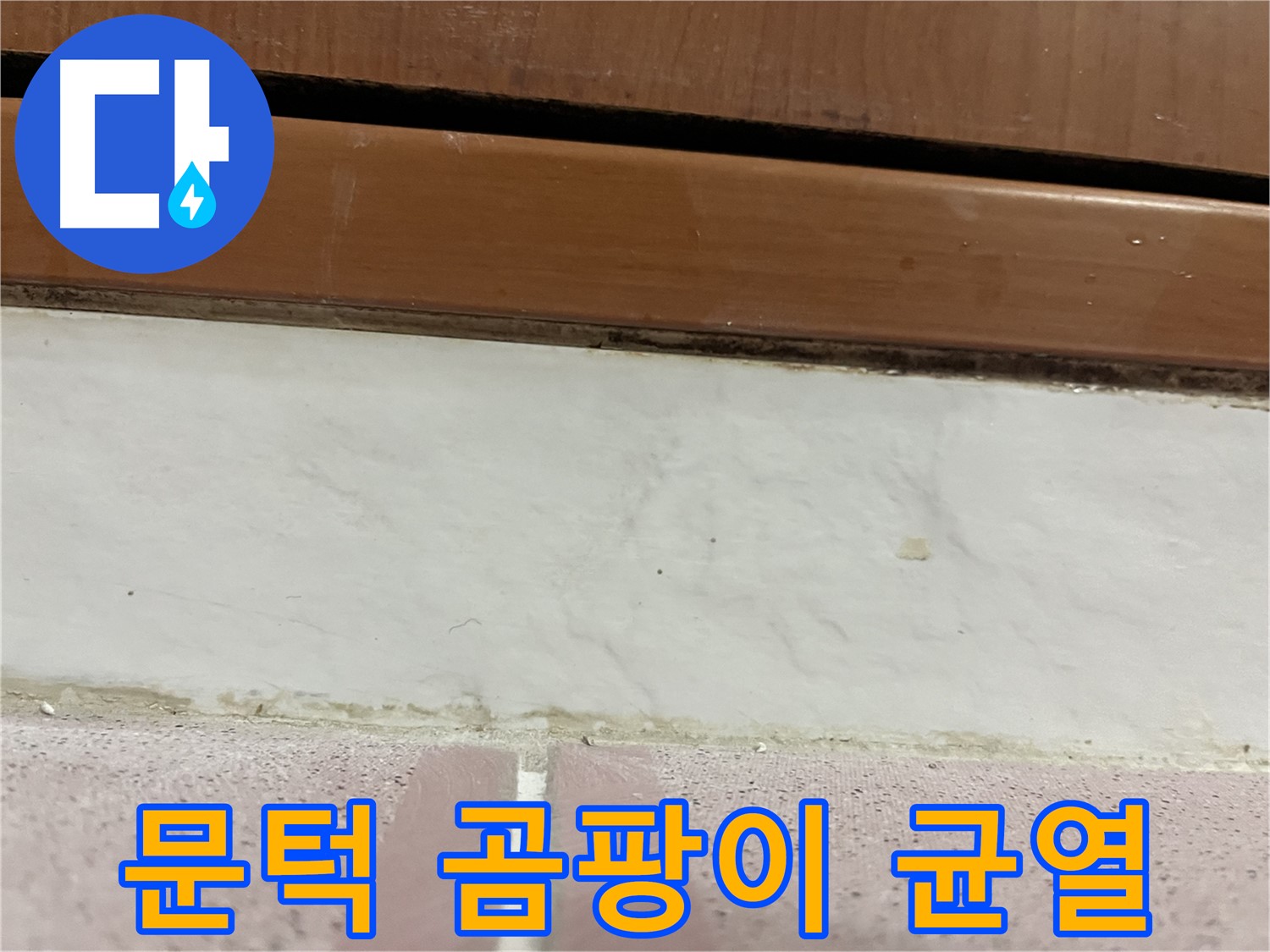 형제맨션빌 누수 - 문턱 아래 타일 틈새 곰팡이와 백시멘트 균열