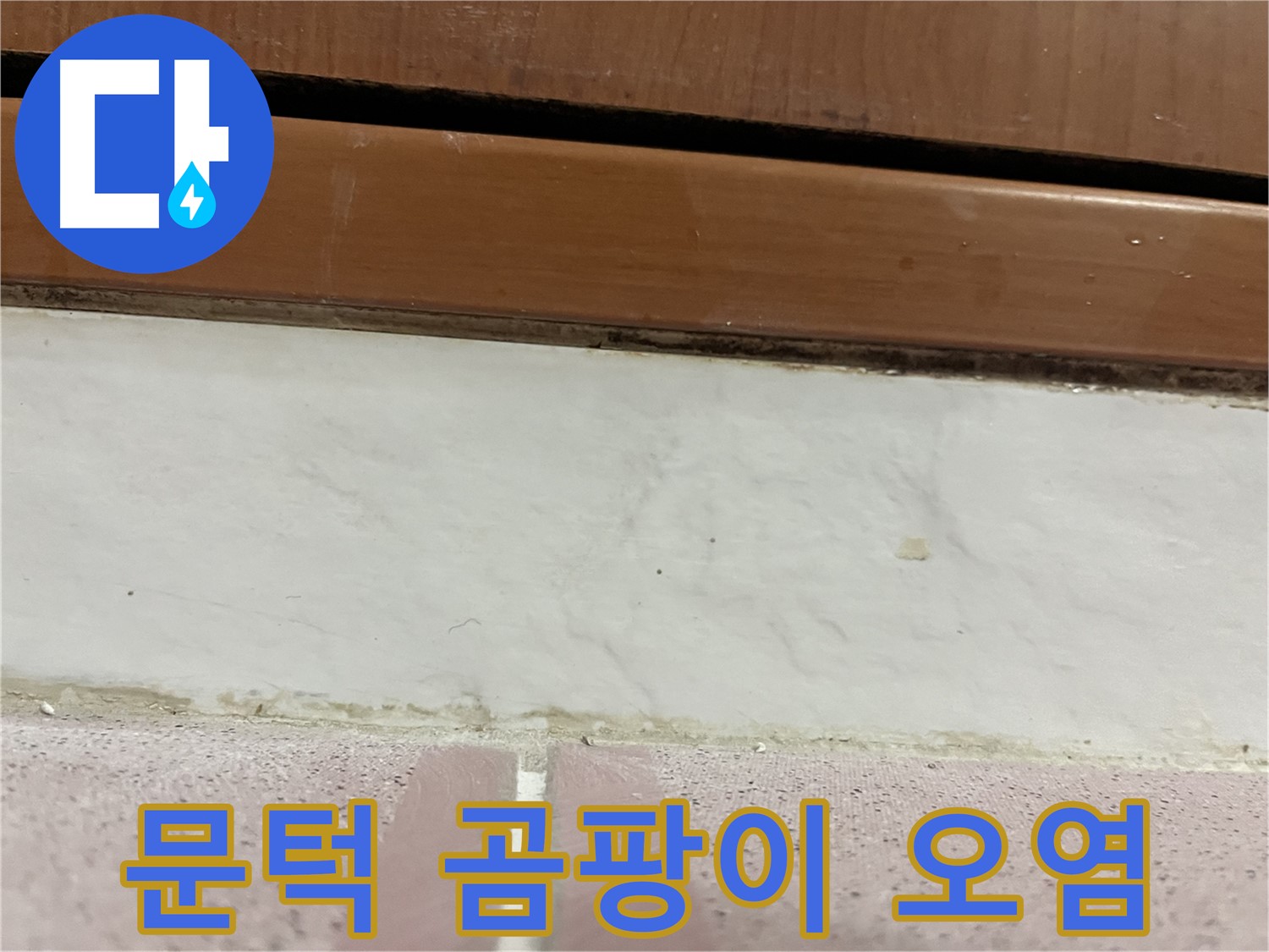 형제맨션빌 누수 - 문턱 아래 타일 틈새 곰팡이와 백시멘트 오염