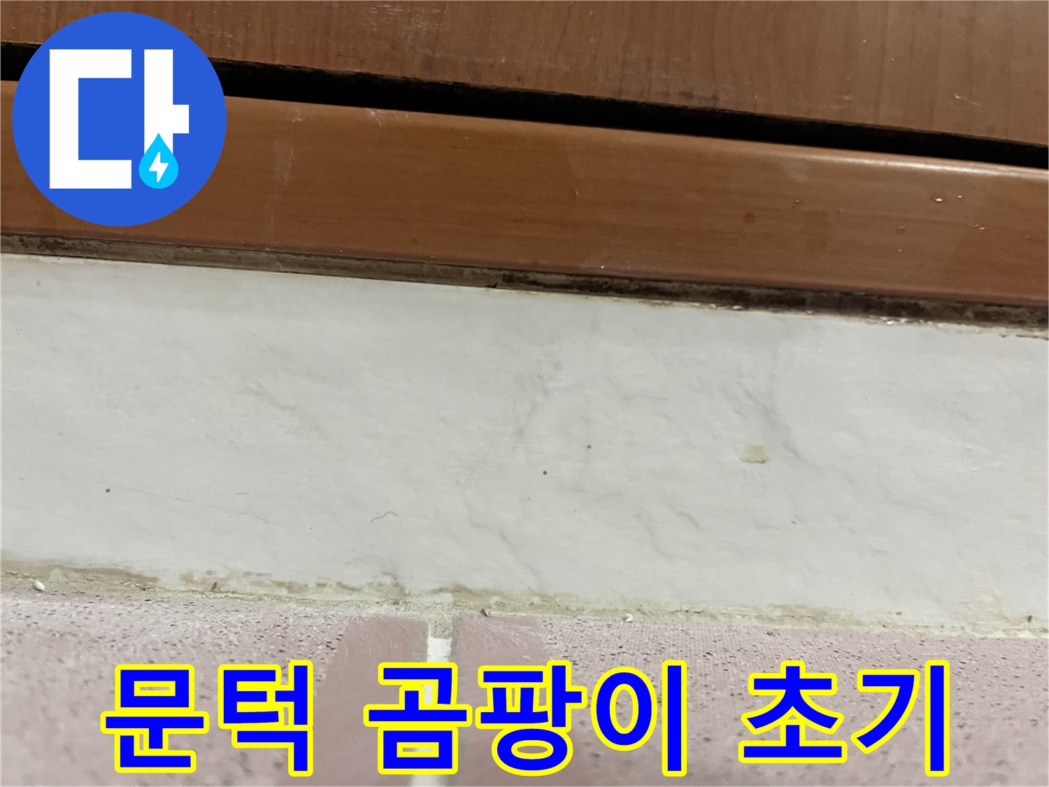 형제맨션빌 누수 - 문턱 아래 타일 틈새 곰팡이와 습기 초기 증상